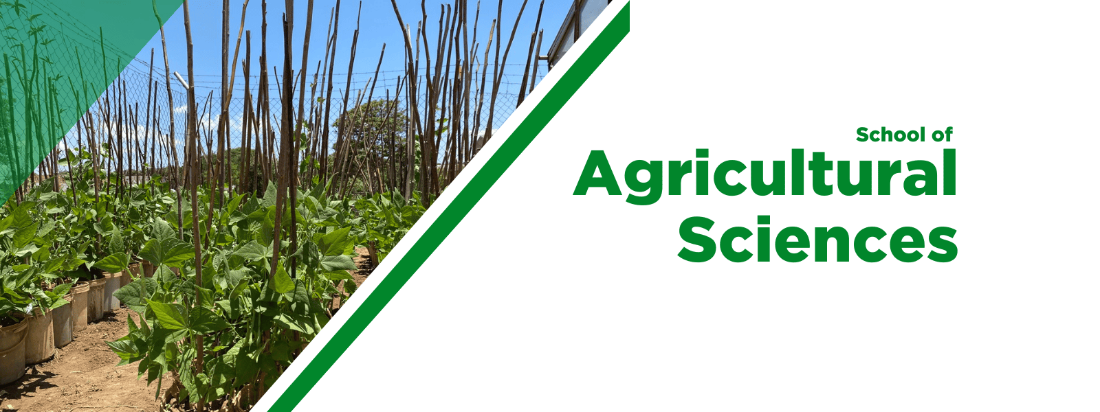 School of Agricultural Sciences