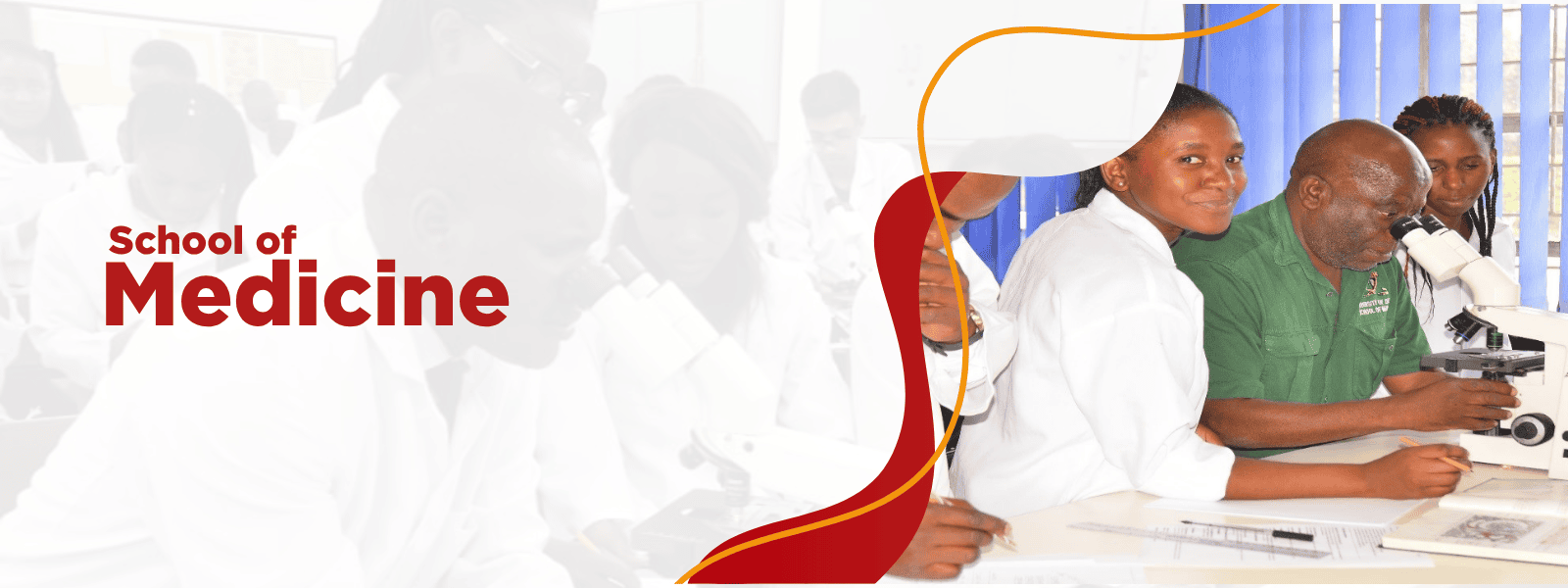 School of Medicine