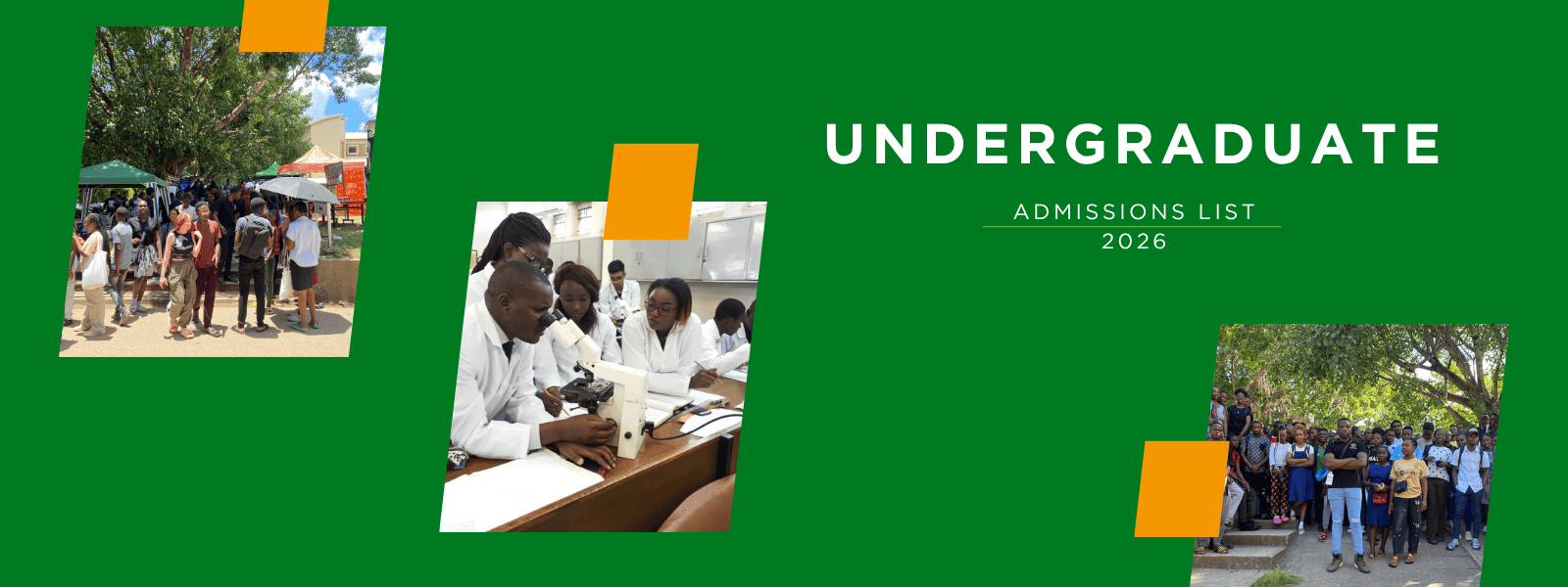 2026 Intake Undergraduate Admission List