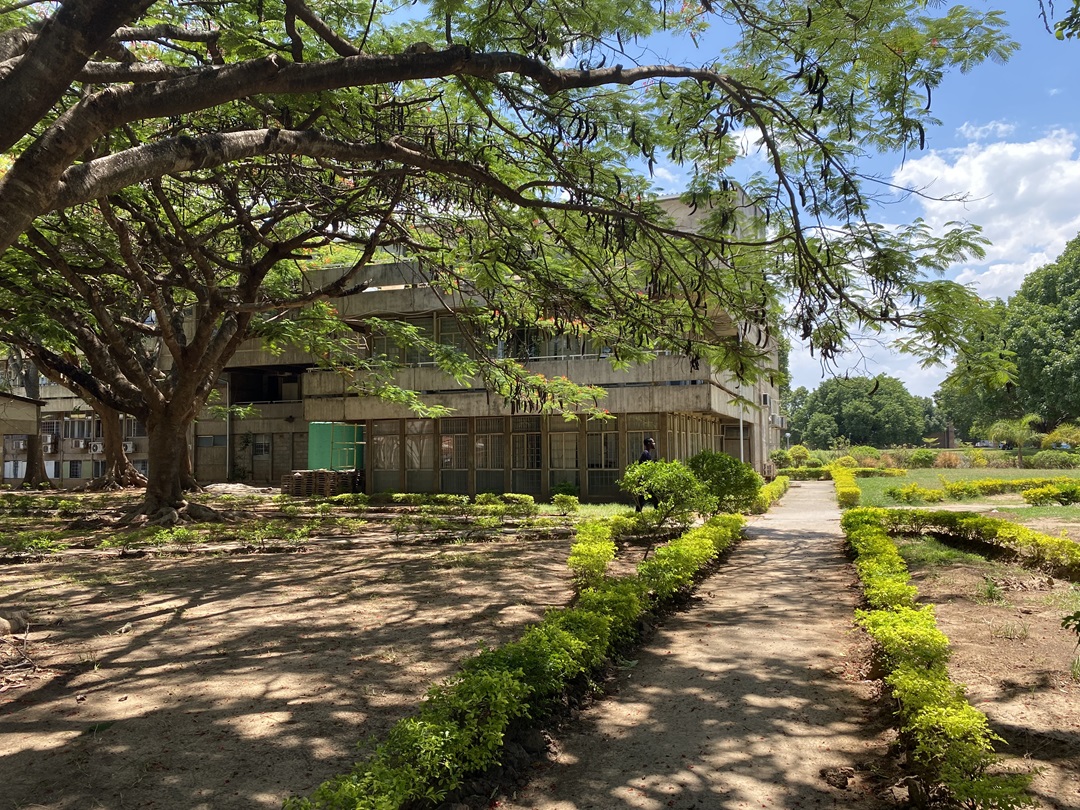 The University of Zambia