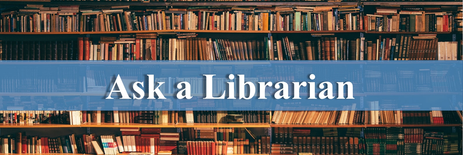 librarian