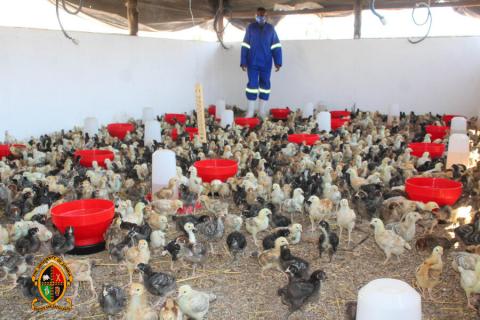 UNZA commissions the Village Chickens Park Project