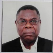 Professor Francis B. Musonda